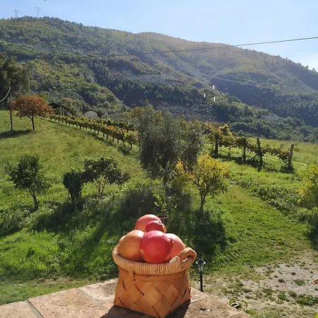 别墅 Casale I Melograni Ferentillo